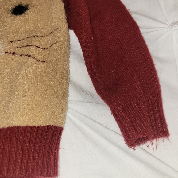 EUC Boys Cat & Jack sweater | Soft lion sweater - Picture 4 of 4